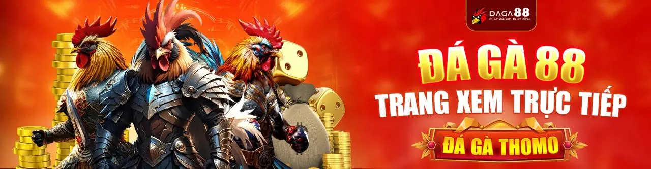 Sân đấu đá gà trực tuyến sôi động tại Sen88 link mới